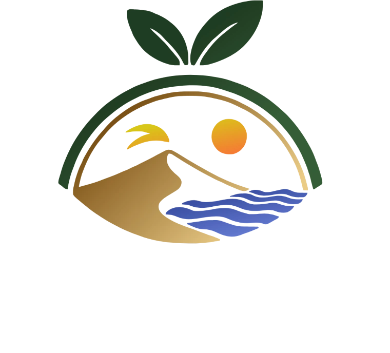Namibia4You Logo